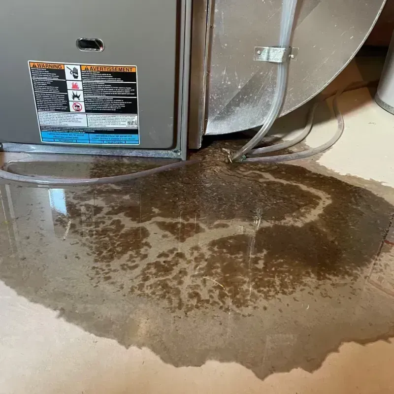 Appliance Leak Cleanup in Lunenburg, VA